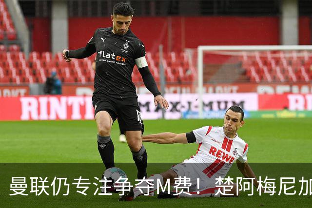 曼联仍专注争夺M费！楚阿梅尼加盟需满足两条件，对恩梅查态度曝光